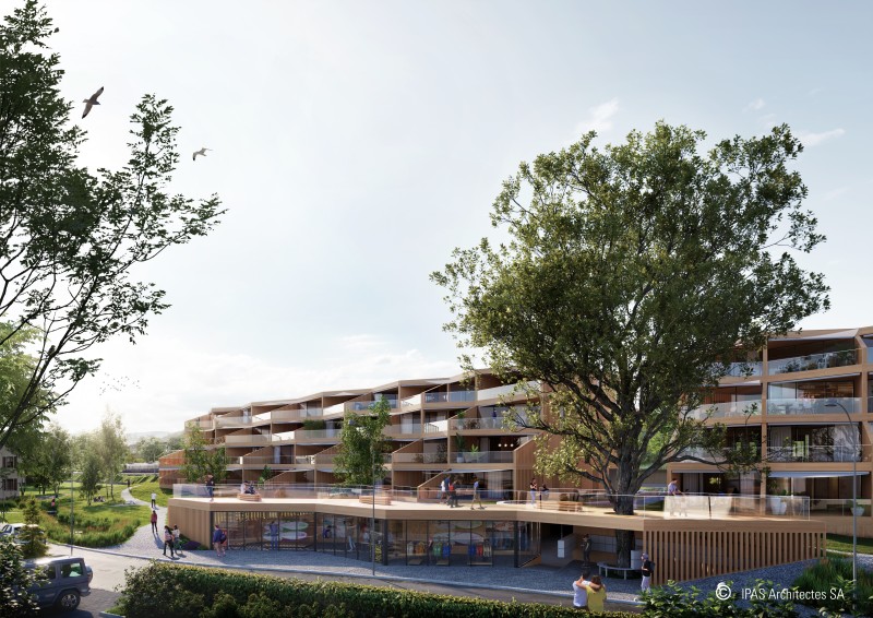 STJ20 - 07.05.2021 - Projekt 1. Preis