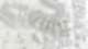 BRI  16 - Briks Areal, Allschwil BS
