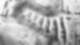 BRI  16 - Briks Areal, Allschwil BS