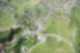 VIT 12 - Vitis, Boudry NE