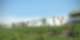 VIT 12 - Vitis, Boudry NE